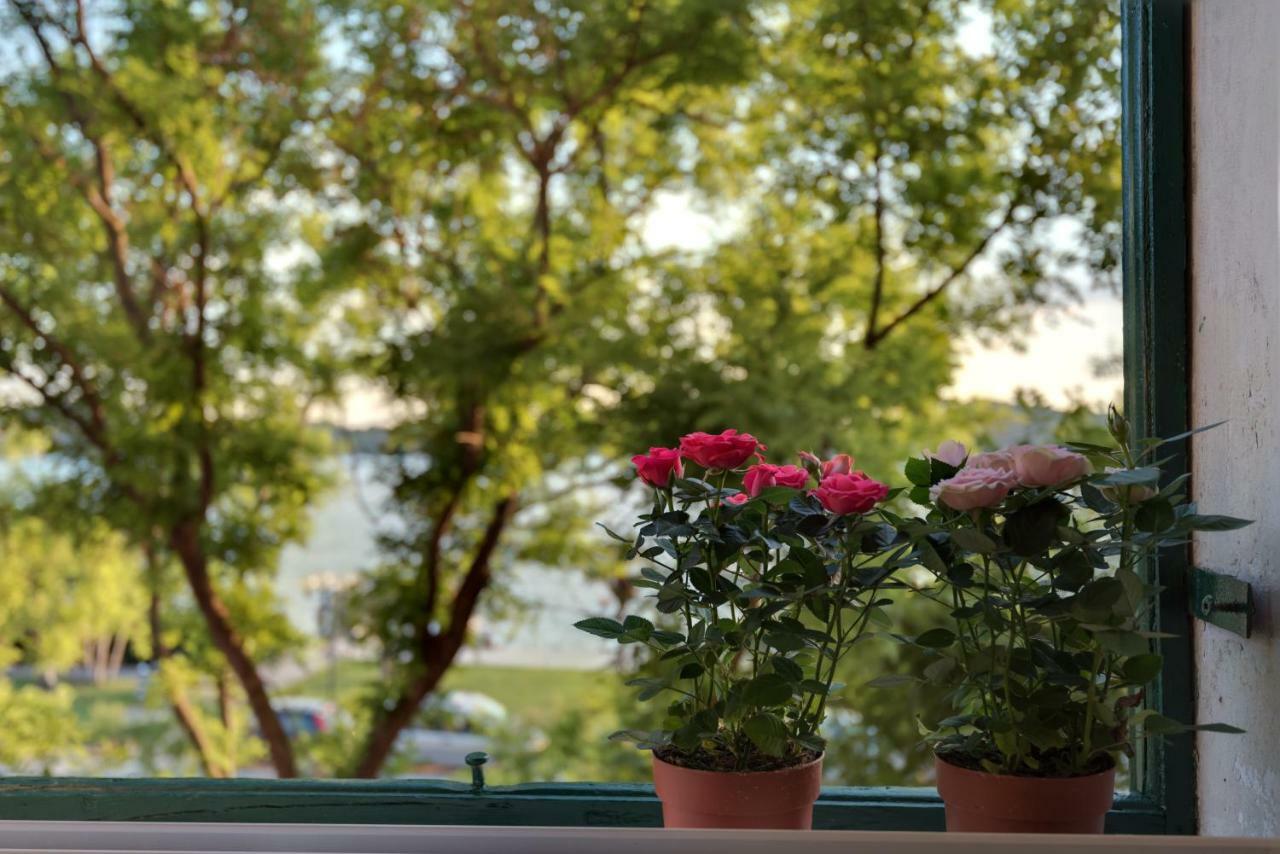 Apartment Oliveto Šibenik Esterno foto